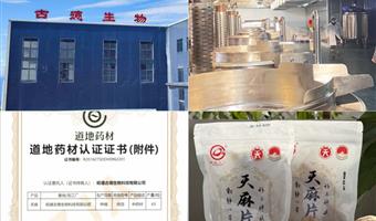 昭通小草坝天麻能调理哪些健康问题？古德生物以科学赋能食药价值