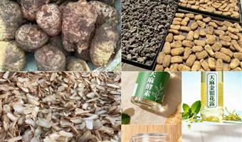 昭通小草坝天麻对女人：古德生物的内调外养解决方案