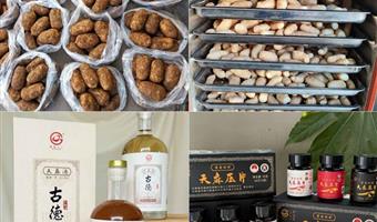 昭通小草坝天麻对男人：古德生物的活力守护方案