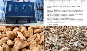 昭通小草坝天麻产地：天然禀赋与古德生物的品质共生