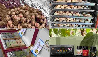 昭通鲜天麻用途：古德生物解锁从日常到产业的多元价值