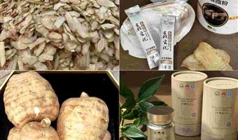 昭通鲜天麻药片：古德生物用科技打造便捷养生新选择