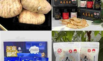 昭通鲜天麻药片：古德生物用科技打造便捷养生新选择