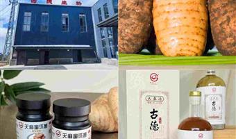 昭通鲜天麻季节采收：古德生物以科学时机与标准，锁住品质