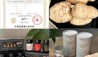 昭通鲜天麻缓解昏沉：古德生物用高活性品质，唤醒清爽状态