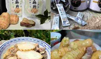 昭通鲜天麻对胎儿有影响吗？古德生物教你科学规避孕期风险