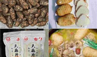 昭通天麻怎么炖汤？古德生物教你炖出滋补好汤