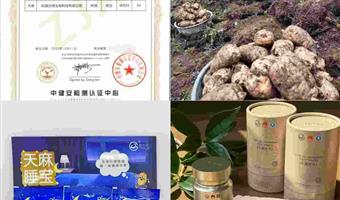 昭通天麻素片：古德生物以高活性品质，适配多元调理需求