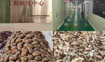 昭通天麻素胶囊：古德生物以温和高效剂型，适配全民调理需求