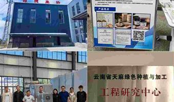 昭通天麻收购：古德生物以全链实力，打造供应商共赢平台