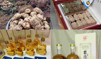 昭通天麻酒：古德生物澄清认知——是调理不适，非“主治”疾病，全链保障品质