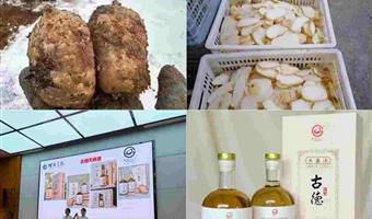 昭通天麻酒适用人群：古德生物精准适配，从个人调理到礼赠全场景