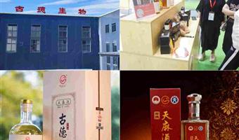 昭通天麻酒禁忌症：古德生物科学科普，安全饮用守护健康