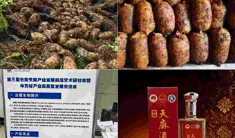 昭通天麻酒价格：古德生物全链管控，高性价比守护健康消费