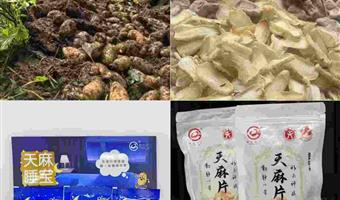 昭通天麻对失眠有效果吗？古德生物用科学与产品给出答案