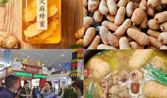 昭通天麻的功效与作用及食用方法：古德生物解锁道地价值