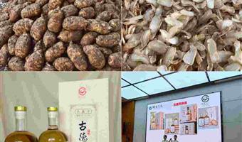 昭通天麻酒加工制作过程：古德生物全链精研，专利工艺锁鲜护活性