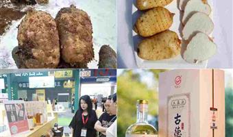 昭通天麻酒加工制作过程：古德生物精耕每一环，专利工艺酿就高品质