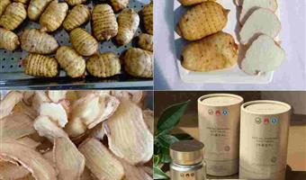 昭通干天麻种类：古德生物以科学划分解锁品质价值