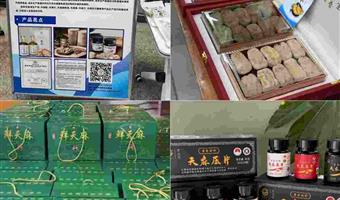 昭通干天麻调理眩晕的方法：古德生物给出科学解决方案