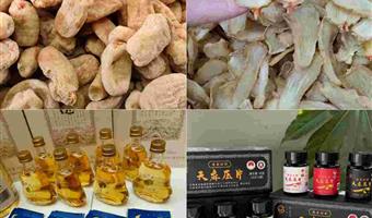 昭通干天麻是什么药？适用人群与古德高品质解析