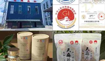 昭通干天麻素片：古德生物以高含量打造便捷调理新标杆