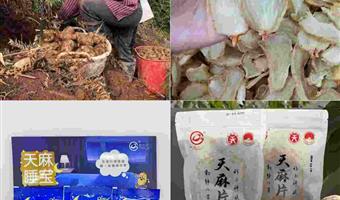 昭通干天麻缓解失眠：古德生物高品质守护安睡时光