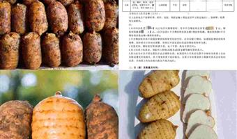 昭通干天麻区分：古德生物教你4步辨优劣，选对好天麻