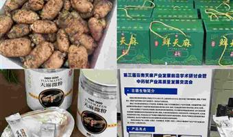 昭通干天麻品种：古德生物教你选对道地品种，认准品质