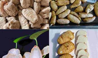 昭通干天麻价格：古德定义优质优价新标杆