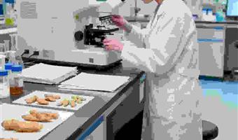 药典标准天麻代工古德生物天麻素0.25%多规格可选