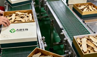 天麻批发合作古德生物高含量天麻素0.5%浸出物30%稳定供应