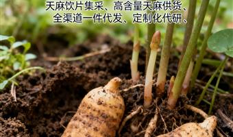 古德生物高含量天麻 浸出物 43% 天麻素 0.5% 食品级原料适配