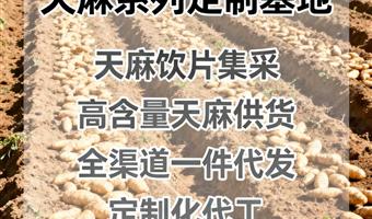 古德生物天麻 浸出物 50% 天麻素 0.5% 药企集采优选原料
