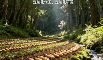 古德生物高含量天麻批发 浸出物 51% 天麻素 0.5% 批量发货快捷