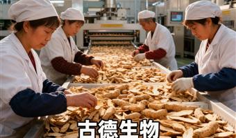 天麻集采专属 古德生物浸出物 48% 天麻素 0.5% 量大价低